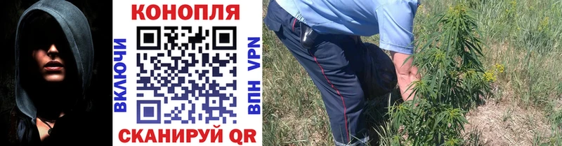 Купить где  Медынь  Бошки Шишки VHQ 